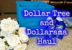 Dollar Tree and Dollarama Haul