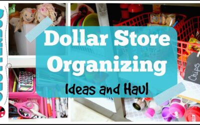 Dollar Store Organizing Ideas and Haul – Collab With Myka Stauffer