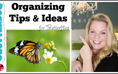 Organizing Tips and Ideas for Butterflies – ClutterBug Organizing Series