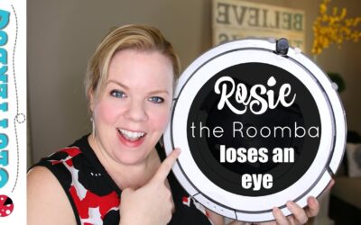 Rosie the Roomba Loses an Eye