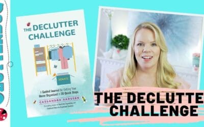 The Decluttering Challenge  – I wrote (another) freaking book!