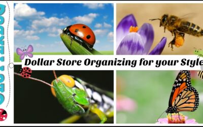 🐝Organizing From The Dollar Store For Your Unique Style 🐞