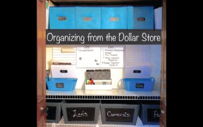 How to Organize with bins from the Dollar Store