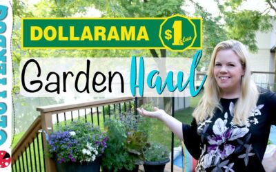 Dollarama Garden Haul –  Canadian Dollar Store
