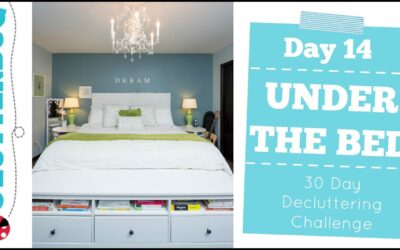 Day 14 – Under Your Bed – 30 Day Decluttering Challenge