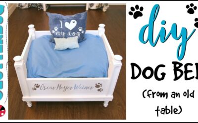 How to Make a DIY Dog Bed from an Old Table
