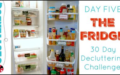 Day Five – Fridge – 30 Day Decluttering Challenge