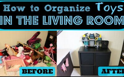 How to Organize Toys in the Living Room