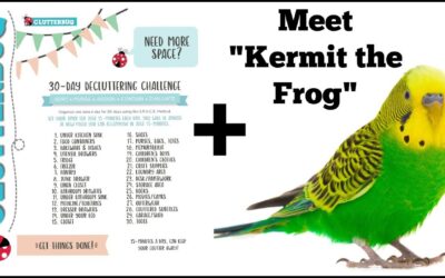 30 Day Decluttering Challenge + Meet “Kermit the Frog” our Talking Budgie