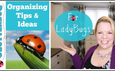 Organizing Tips and Ideas for LadyBugs – Clutterbug Organization Series