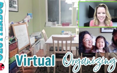 Virtual Organizing – Amelie’s Craft Center