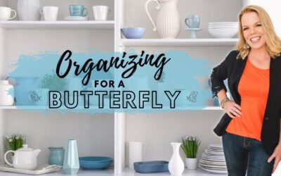 *New* Organizing Ideas and Tips for Butterflies!