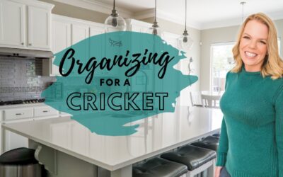 *NEW* Organizing Ideas and Tips for Crickets!