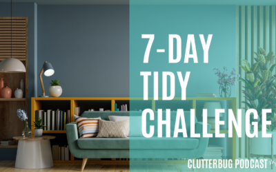 Simplify Your Organizing Style & Do A 7-Day Tidy Challenge
