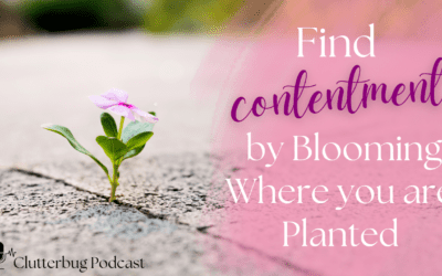 How to Find Contentment by Blooming Where you are Planted