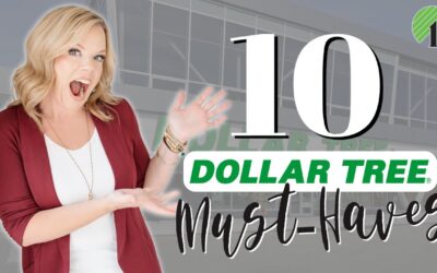 10 Things you SHOULD be Buying at The Dollar Tree
