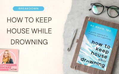 A Breakdown of How To Keep House While Drowning